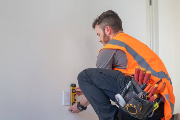 Best Electric Panel Repair  in Englishtown, NJ